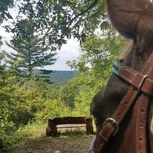 Meet your Posher, Lynn